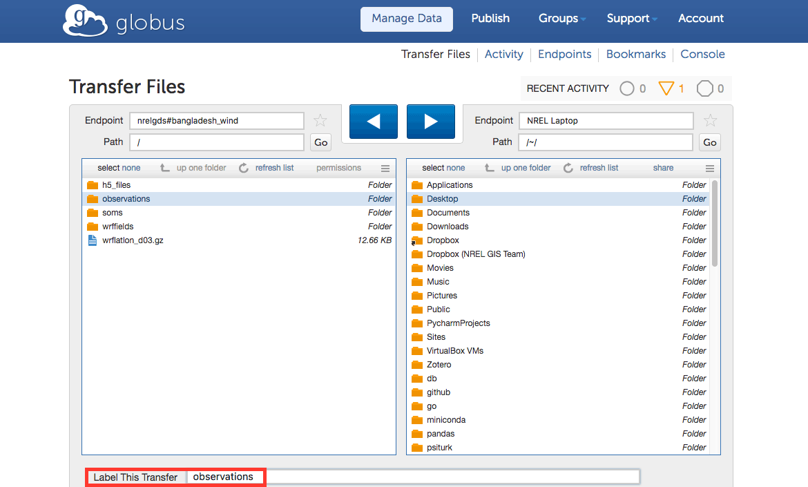 Naming the file transfer at the window below the right and left endpoint boxes on the File Transfer page